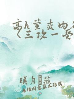 高h荤爽肉欲文〈三攻一受