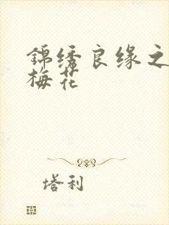 锦绣良缘之驿寄梅花