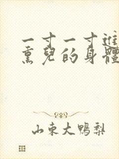 一寸一寸进入萧熏儿的身体里