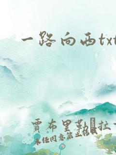 一路向西txt