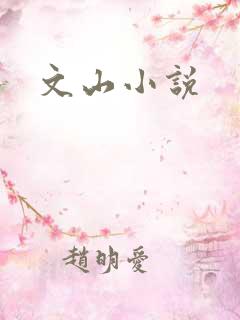 文山小说