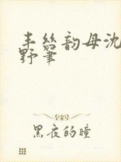 丰丝韵母沈蓉书野笔