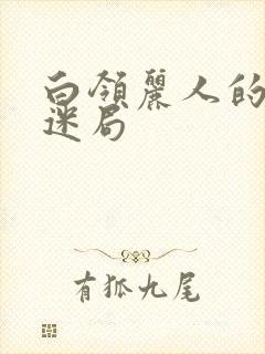 白领丽人的危情迷局