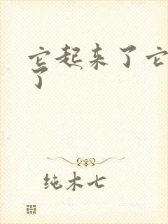 它起来了它想你了