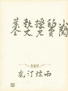 叶教授的小黏糖全文免费阅读