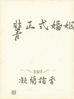 非正式婚姻雾里青