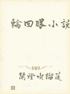 轮回眼小说