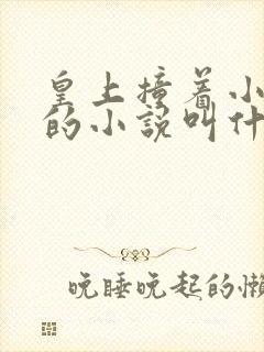 皇上撞着小公主的小说叫什么