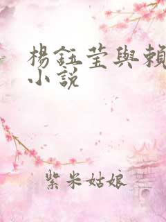 杨钰莹与赖昌星小说