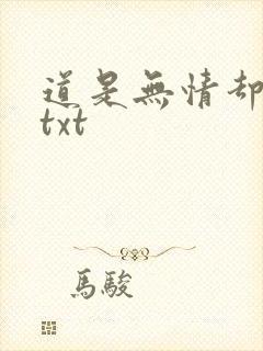 道是无情却有情txt
