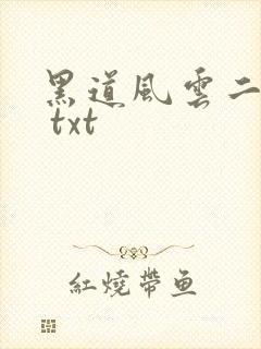 黑道风云二十年 txt