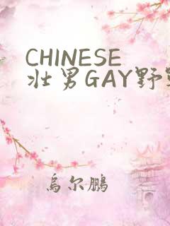 CHINESE壮男GAY野战强迫TUBE