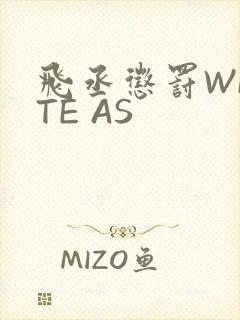 飞丞惩罚WRITE AS