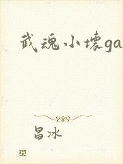 武魂小坏ga