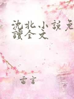 沈北小说免费阅读全文