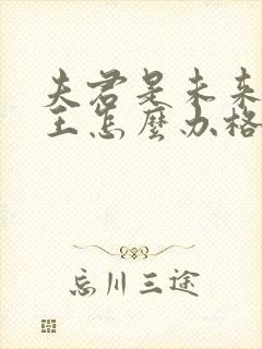 夫君是未来大魔王怎么办格格党