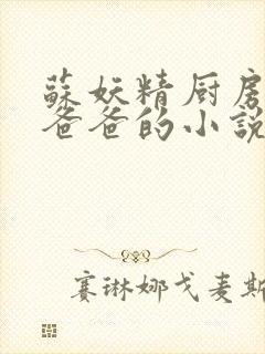 苏妖精厨房爹爹爸爸的小说