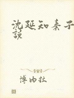 沈延知秦子卿小说