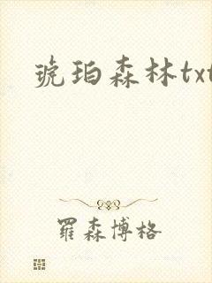 琥珀森林txt