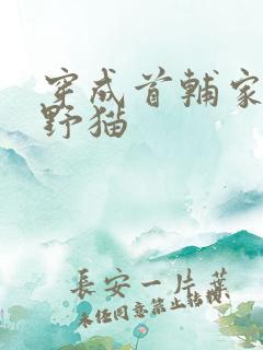 穿成首辅家的小野猫