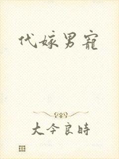 代嫁男宠