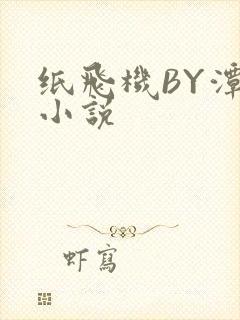 纸飞机BY潭石小说