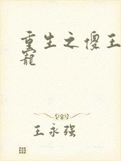 重生之傻王心尖宠