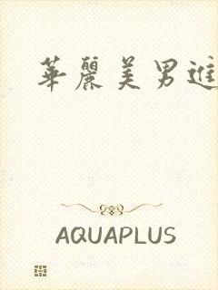 华丽美男进化论