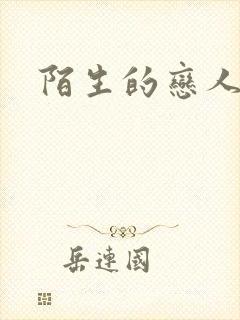 陌生的恋人小说