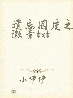 遗忘国度之神秘徽章txt