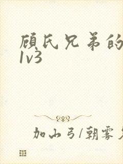 顾氏兄弟的南宁1v3