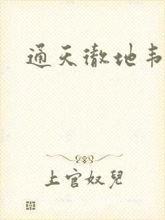 通天彻地韦小宝