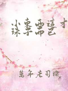 小东西这才一颗珠子而已