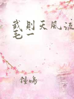 武则天风流艳情毛一