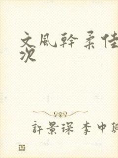 文风干柔佳第一次