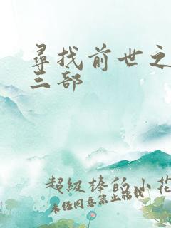 寻找前世之旅第三部