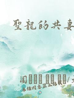 圣龙的共妻