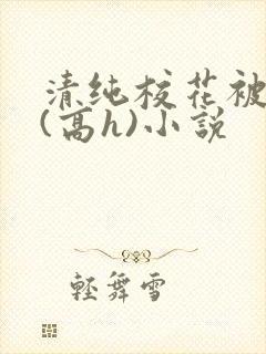 清纯校花被调教(高h)小说