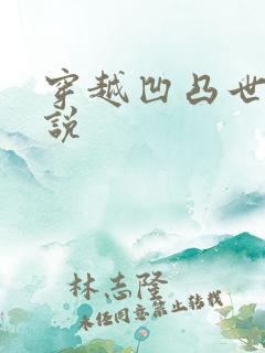 穿越凹凸世界小说