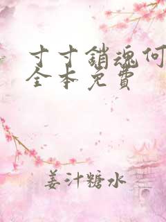 寸寸销魂何生祥全本免费