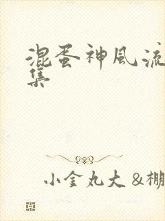 混蛋神风流史全集