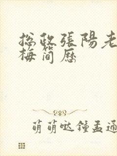 总政张阳老婆吕梅简历