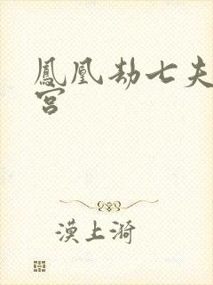 凤凰劫七夫乱后宫