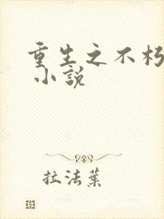 重生之不朽传奇 小说