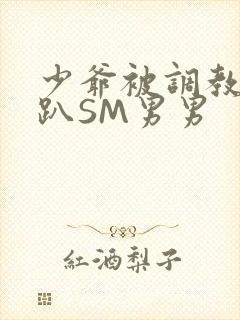 少爷被调教室跪趴SM男男