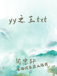 yy之王txt