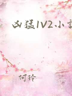 凶猛1V2小说