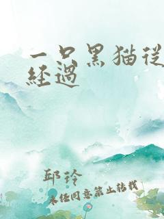 一只黑猫从眼前经过