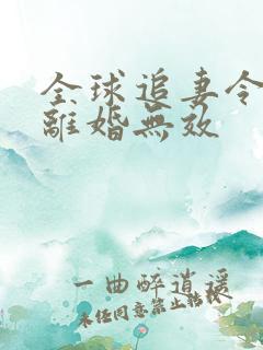 全球追妻令老婆离婚无效