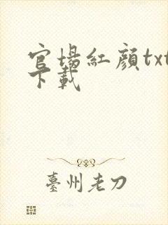 官场红颜txt下载